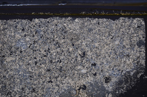 Cross Polarized, E36162