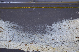 Cross Polarized, E36163