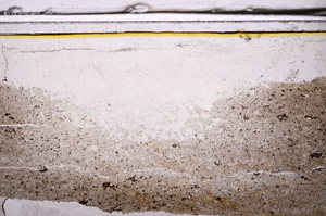 Plane Polarized, E36163