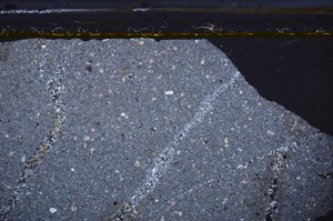 Cross Polarized, E36164