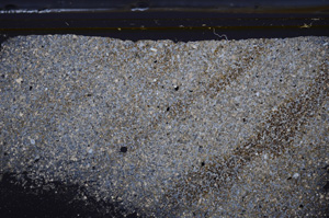 Cross Polarized, E36165