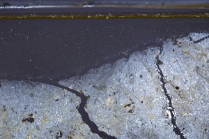 Cross Polarized, E36167