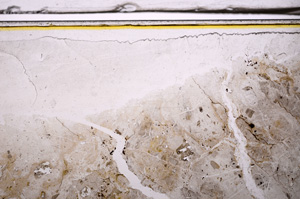 Plane Polarized, E36167