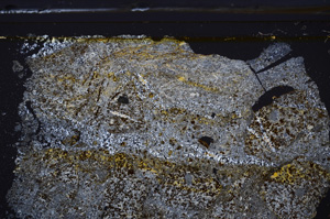 Cross Polarized, E36171