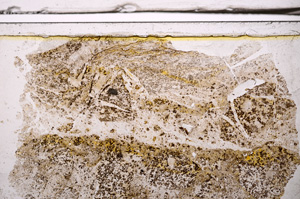 Plane Polarized, E36171