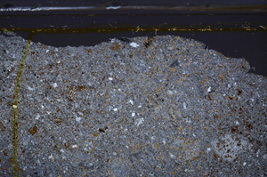 Cross Polarized, E36172