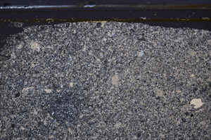 Cross Polarized, E36174