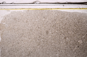 Plane Polarized, E36174