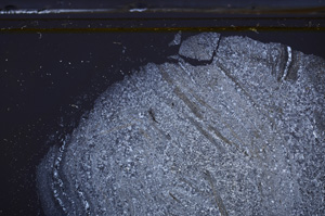 Cross Polarized, E36237