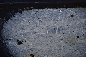 Cross Polarized, E36257