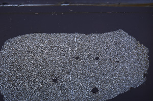 Cross Polarized, E36261