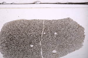 Plane Polarized, E36261