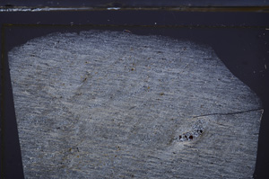 Cross Polarized, E36269