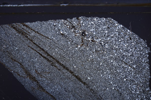 Cross Polarized, E36271