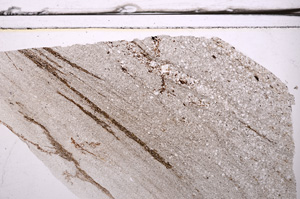 Plane Polarized, E36271