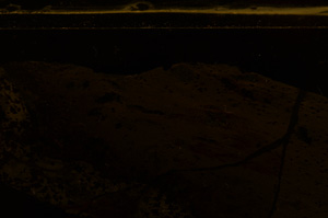 Cross Polarized, E36291