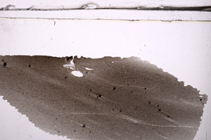 Plane Polarized, E36293