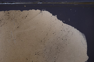 Cross Polarized, E36295