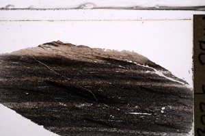 Plane Polarized, E36296