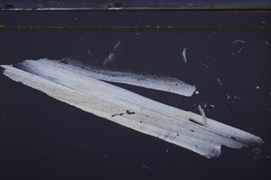 Cross Polarized, E36316