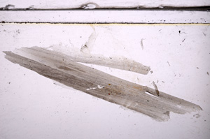 Plane Polarized, E36316