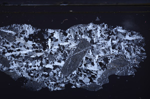 Cross Polarized, E36317