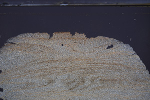 Cross Polarized, E36318