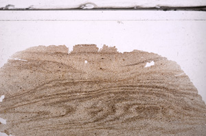 Plane Polarized, E36318