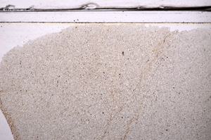 Plane Polarized, E36319