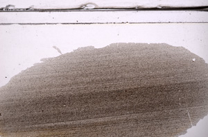 Plane Polarized, E36320