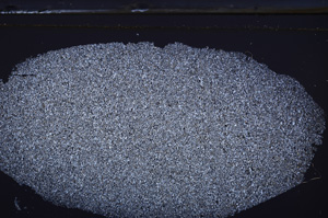 Cross Polarized, E36321