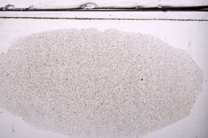 Plane Polarized, E36321