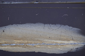 Cross Polarized, E36323