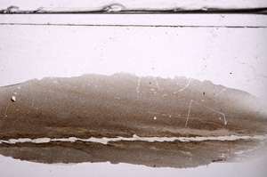 Plane Polarized, E36323