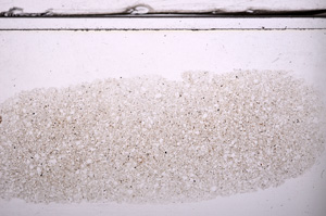 Plane Polarized, E36324