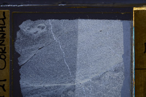 Cross Polarized, E36327