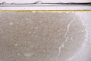 Plane Polarized, E36359