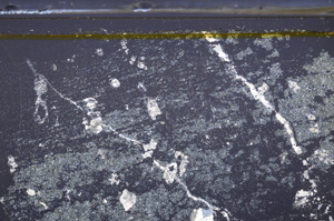 Cross Polarized, E36396