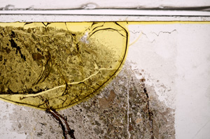 Plane Polarized, E36397