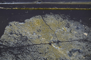 Cross Polarized, E36398