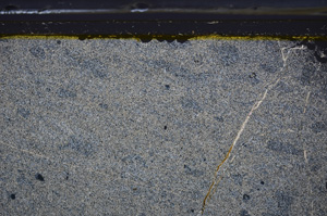 Cross Polarized, E36399