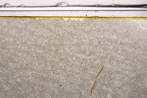 Plane Polarized, E36399