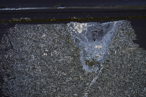 Cross Polarized, E36489