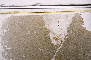 Plane Polarized, E36489