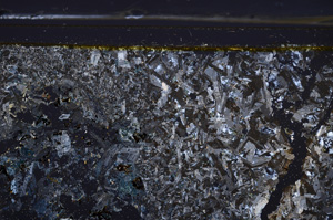 Cross Polarized, E36546