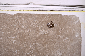 Plane Polarized, E36608