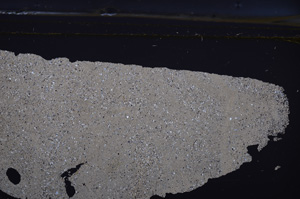 Cross Polarized, E36611