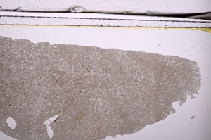 Plane Polarized, E36611