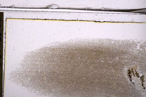 Plane Polarized, E36612