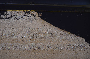 Cross Polarized, E36616